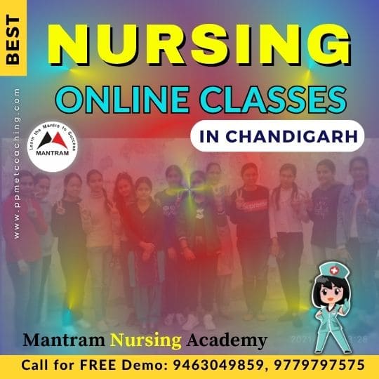 Best Nursing Online Classes in Chandigarh